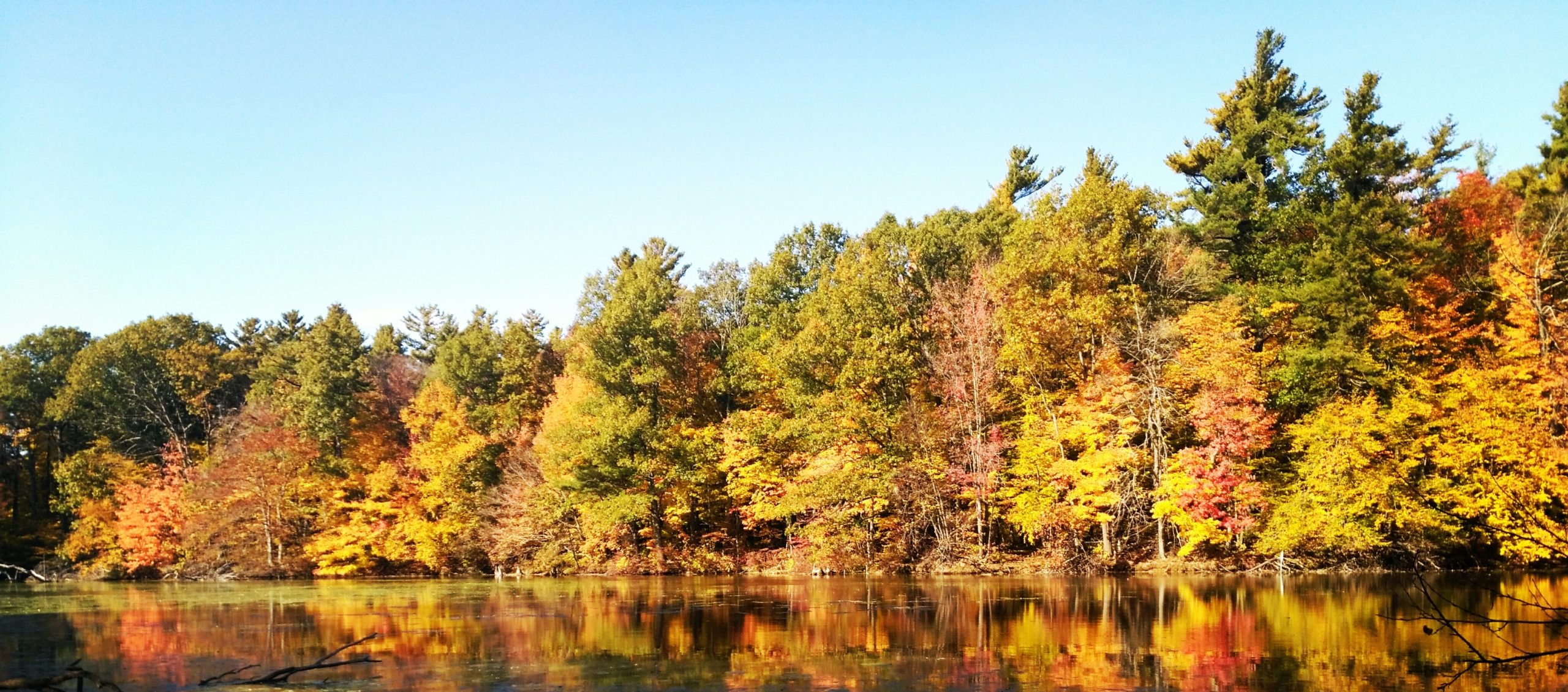 Fundraising – Catfish Creek Conservation Authority